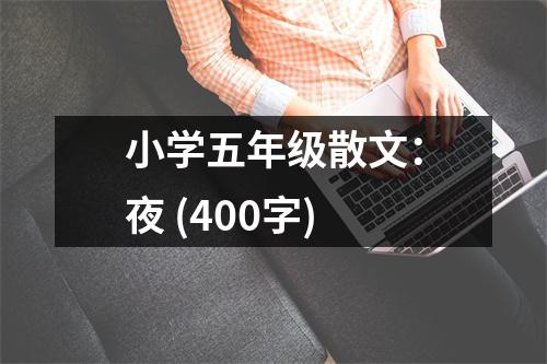 小學(xué)五年級(jí)散文：夜 (400字)