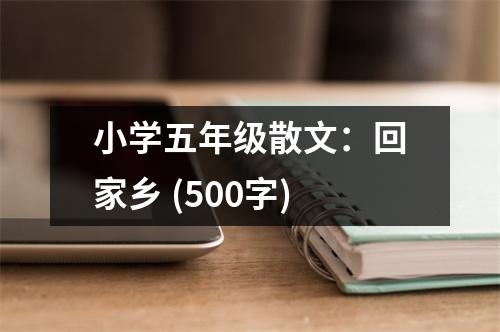 小學(xué)五年級(jí)散文：回家鄉(xiāng) (500字)