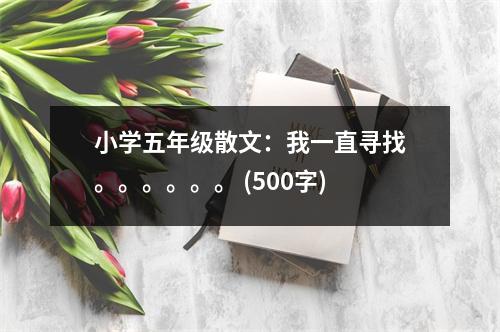小學(xué)五年級(jí)散文：我一直尋找。。。。。。 (500字)