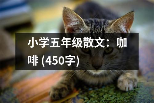 小學(xué)五年級散文：咖啡 (450字)