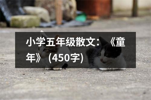 小學(xué)五年級(jí)散文：《童年》 (450字)