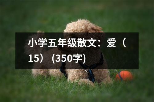 小學(xué)五年級散文：愛（15） (350字)