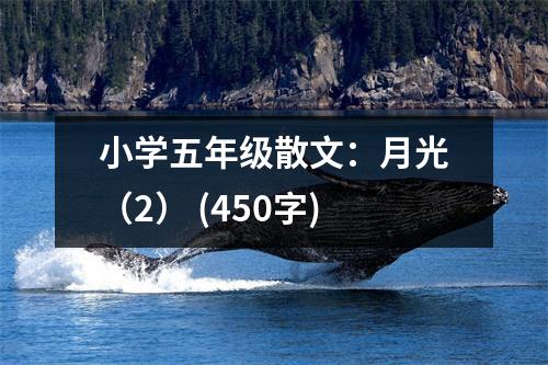 小學(xué)五年級散文：月光（2） (450字)
