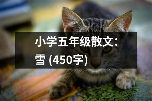 小學(xué)五年級散文：雪 (450字)