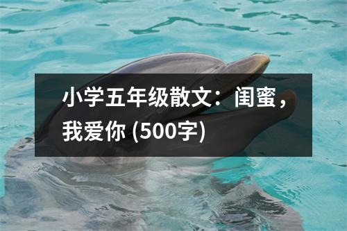 小學(xué)五年級散文：閨蜜，我愛你 (500字)
