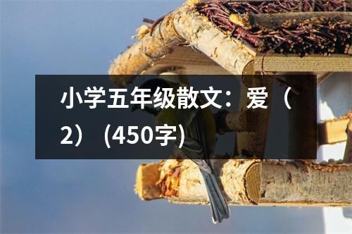 小學(xué)五年級散文：愛（2） (450字)