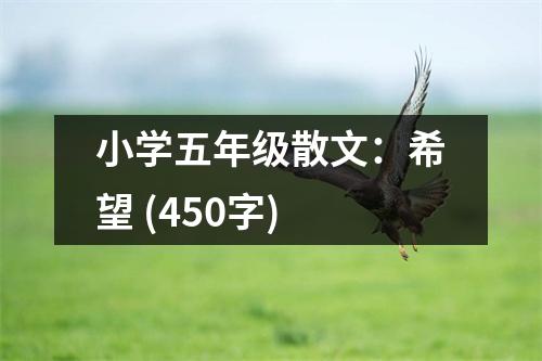 小學(xué)五年級散文：希望 (450字)