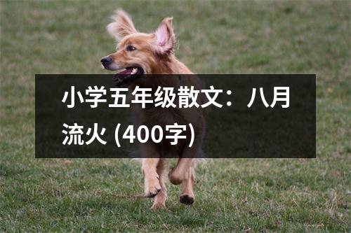 小學(xué)五年級散文：八月流火 (400字)