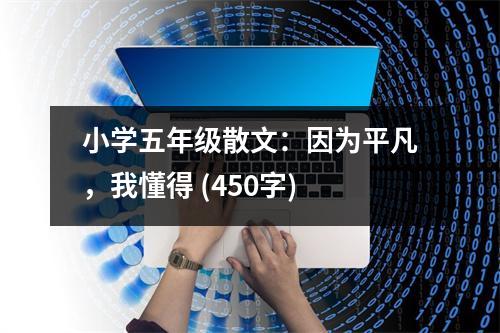 小學(xué)五年級散文：因為平凡，我懂得 (450字)