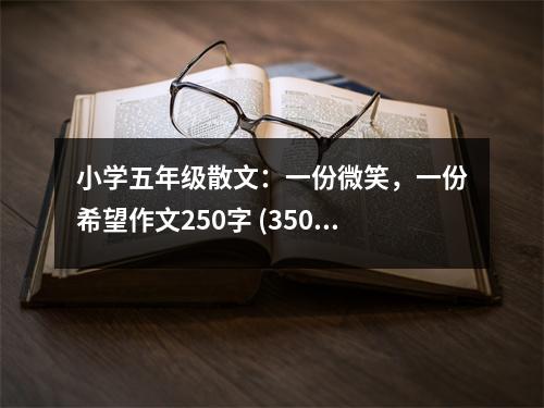小學(xué)五年級散文：一份微笑，一份希望作文250字 (350字)