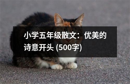 小學五年級散文：優(yōu)美的詩意開頭 (500字)
