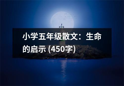 小學(xué)五年級散文：生命的啟示 (450字)