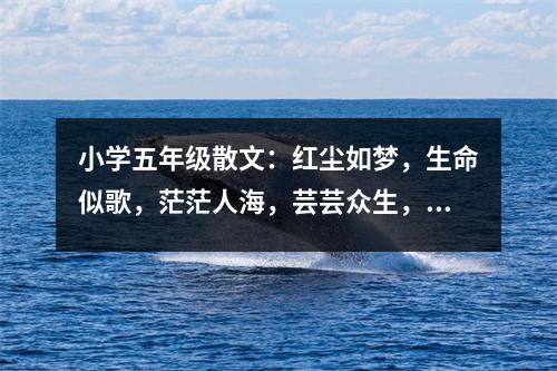 小學五年級散文：紅塵如夢，生命似歌，茫茫人海，蕓蕓眾生，不但容貌千差萬別，性格各異，精神世界更是有著天壤之別。光鮮的 (350字)