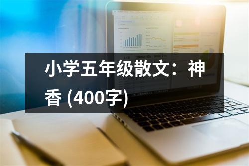小學五年級散文：神香 (400字)