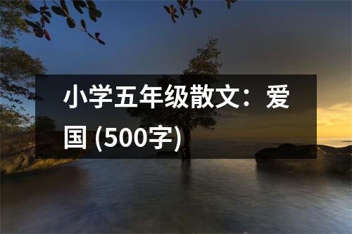 小學(xué)五年級(jí)散文：愛(ài)國(guó) (500字)