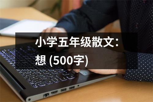 小學(xué)五年級散文：想 (500字)