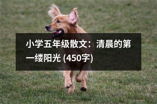 小學(xué)五年級散文：清晨的第一縷陽光 (450字)