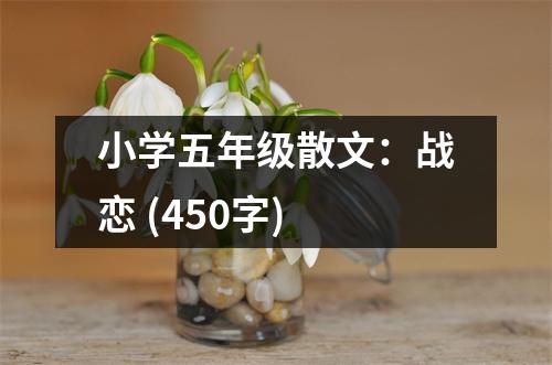 小學五年級散文：戰(zhàn)戀 (450字)