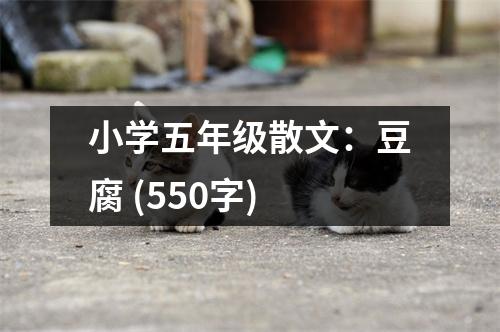 小學(xué)五年級散文：豆腐 (550字)