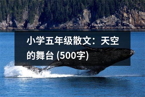 小學五年級散文：天空的舞臺 (500字)