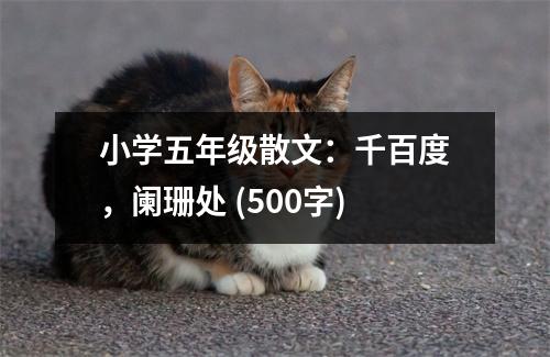 小學(xué)五年級散文：千百度，闌珊處 (500字)