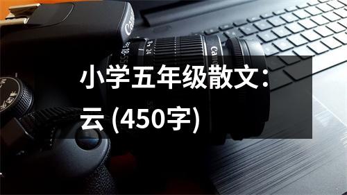 小學(xué)五年級(jí)散文：云 (450字)