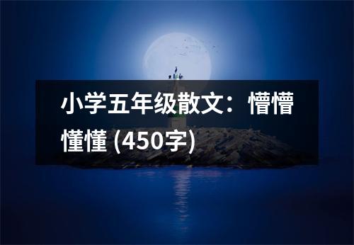 小學(xué)五年級(jí)散文：懵懵懂懂 (450字)