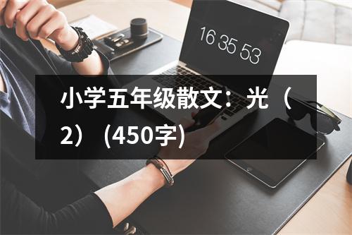 小學(xué)五年級(jí)散文：光（2） (450字)