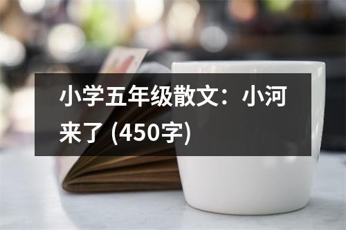 小學(xué)五年級(jí)散文：小河來了 (450字)