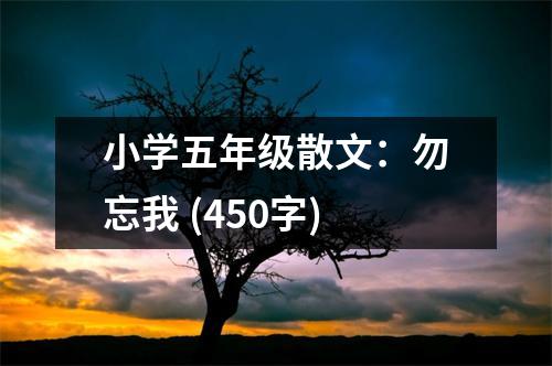 小學(xué)五年級(jí)散文：勿忘我 (450字)