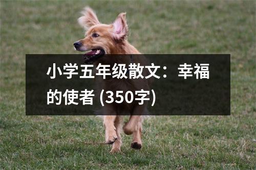 小學(xué)五年級(jí)散文：幸福的使者 (350字)