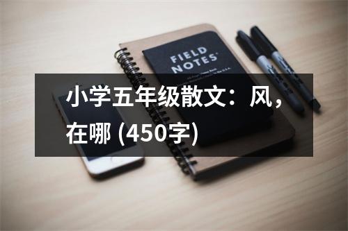 小學(xué)五年級(jí)散文：風(fēng)，在哪 (450字)