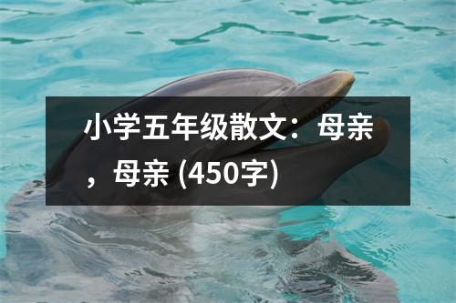 小學(xué)五年級散文：母親，母親 (450字)