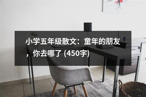 小學(xué)五年級散文：童年的朋友，你去哪了 (450字)