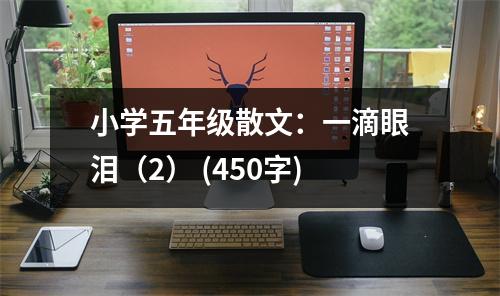 小學(xué)五年級散文：一滴眼淚（2） (450字)