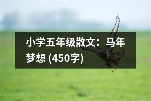 小學(xué)五年級散文：馬年夢想 (450字)