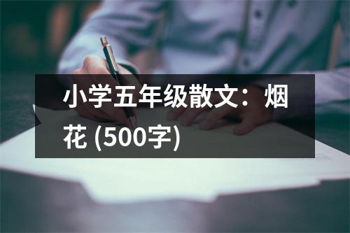 小學(xué)五年級(jí)散文：煙花 (500字)