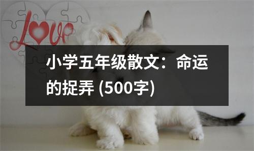小學(xué)五年級(jí)散文：命運(yùn)的捉弄 (500字)