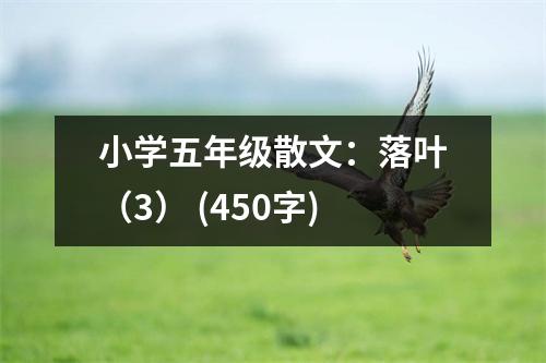 小學(xué)五年級散文：落葉（3） (450字)
