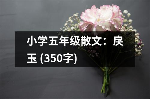 小學(xué)五年級散文：戾玉 (350字)
