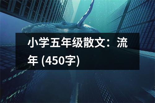 小學(xué)五年級散文：流年 (450字)
