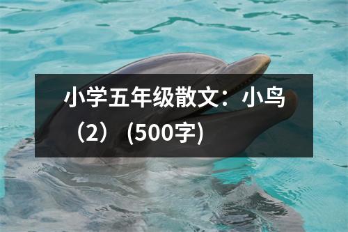 小學(xué)五年級散文：小鳥（2） (500字)