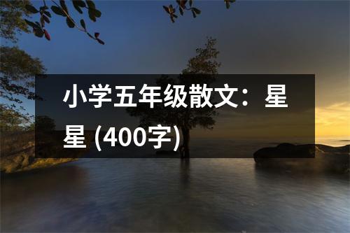 小學(xué)五年級(jí)散文：星星 (400字)