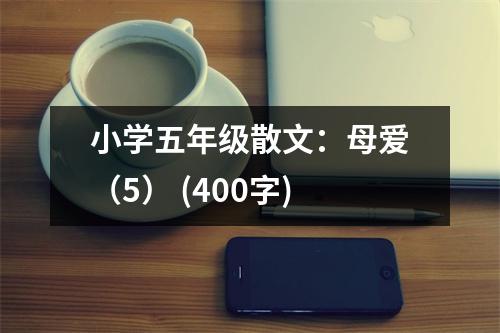 小學(xué)五年級(jí)散文：母愛（5） (400字)
