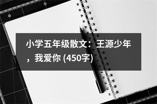 小學(xué)五年級(jí)散文：王源少年，我愛你 (450字)