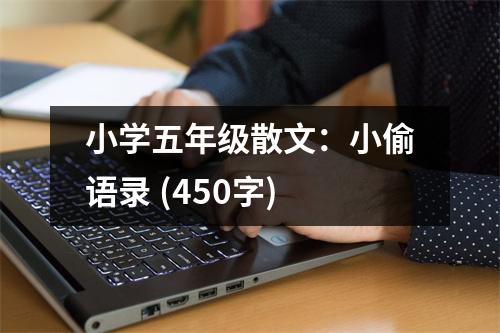 小學(xué)五年級(jí)散文：小偷語錄 (450字)