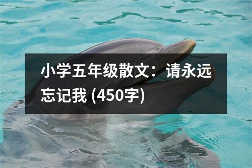 小學(xué)五年級(jí)散文：請(qǐng)永遠(yuǎn)忘記我 (450字)