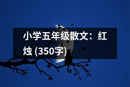 小學(xué)五年級(jí)散文：紅燭 (350字)