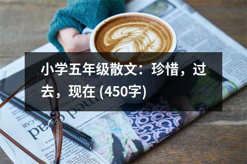 小學(xué)五年級(jí)散文：珍惜，過去，現(xiàn)在 (450字)