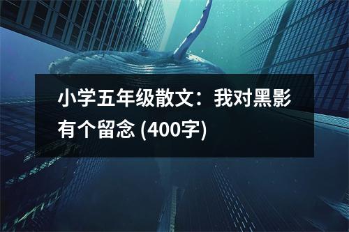 小學(xué)五年級(jí)散文：我對(duì)黑影有個(gè)留念 (400字)
